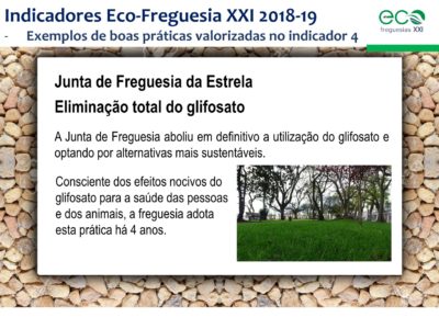 1.Eco-Freguesias_ABAE_11out56