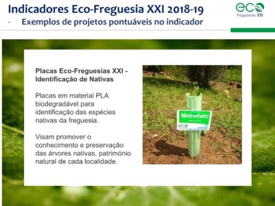 1.Eco-Freguesias_ABAE_11out58
