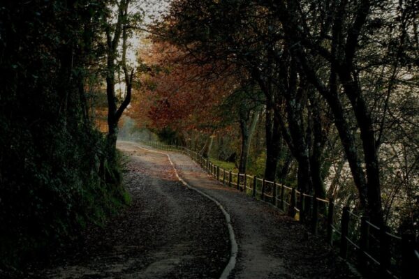 galeria_1_photo_25