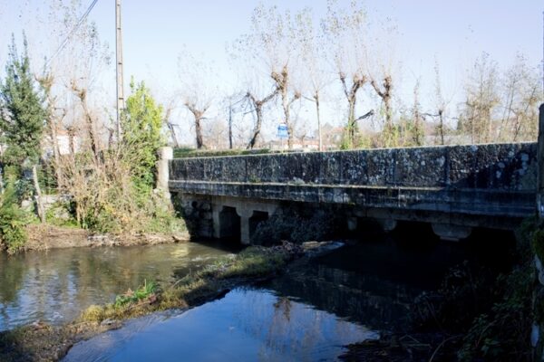 galeria_2_photo_33